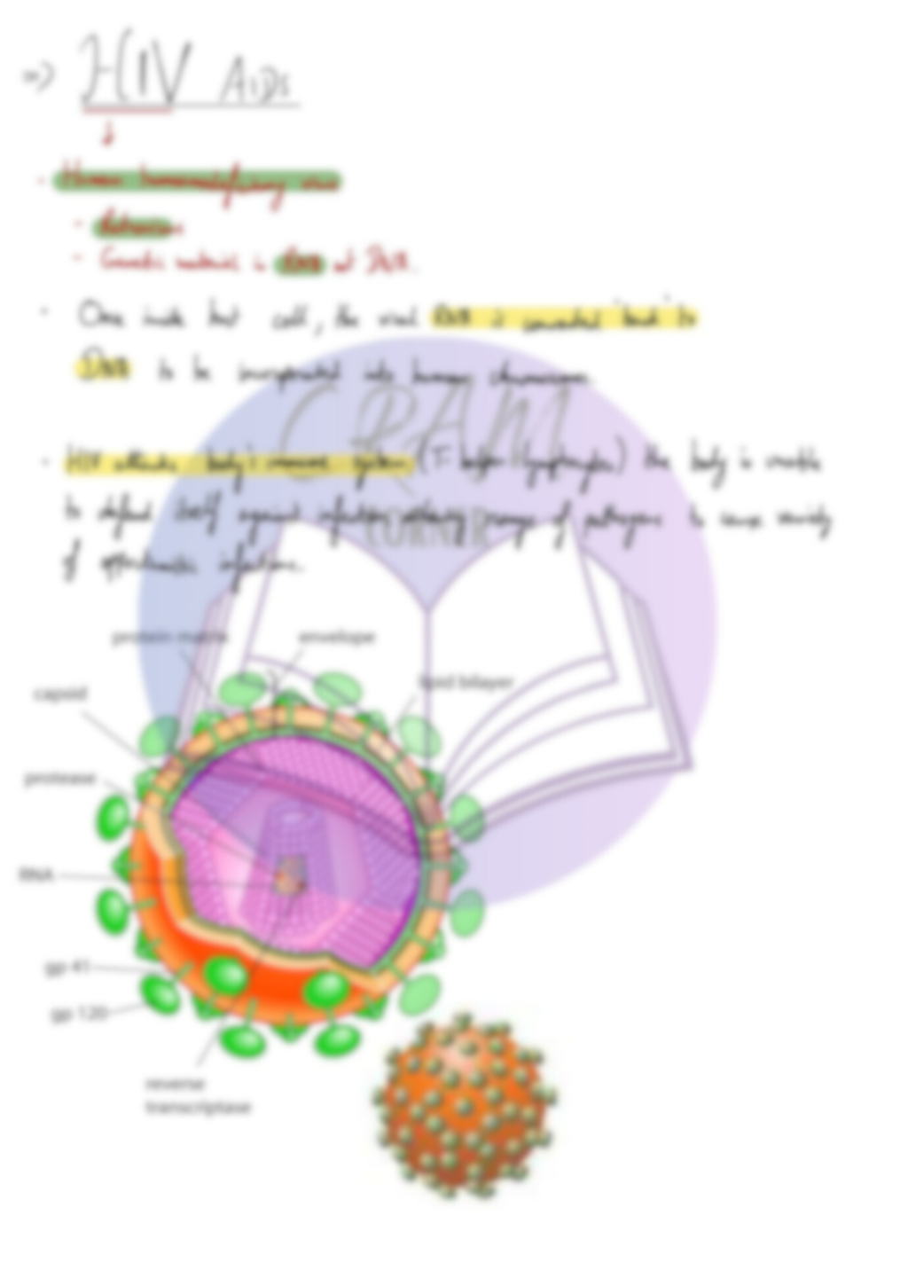 Biology AS- Infectious Disease