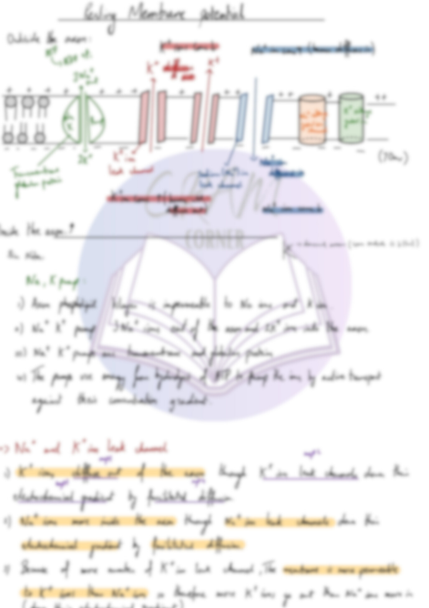 Biology A2- Control and Coordination
