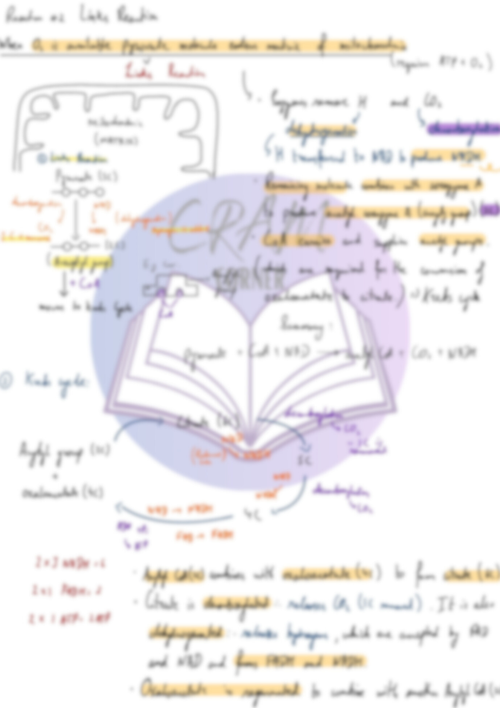 Biology A2- Energy and Respiration