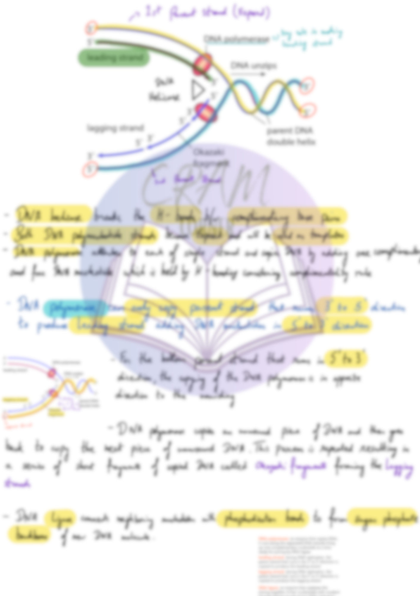 Biology AS- Nucleic Acid and Protein Synthesis