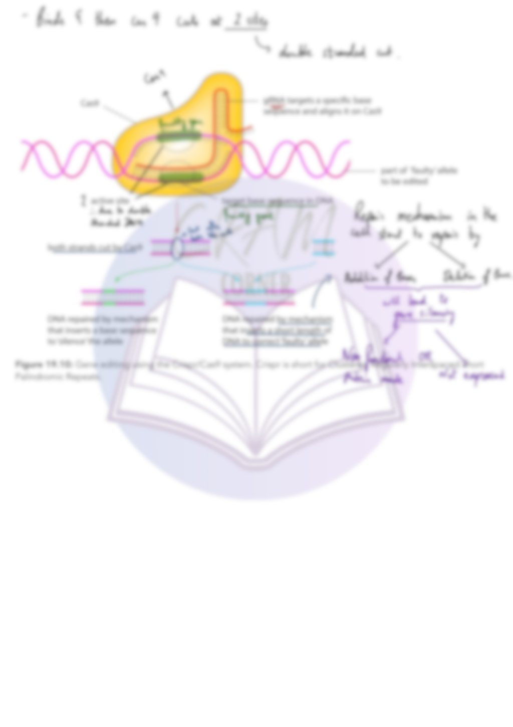 Biology A2- Gene technology