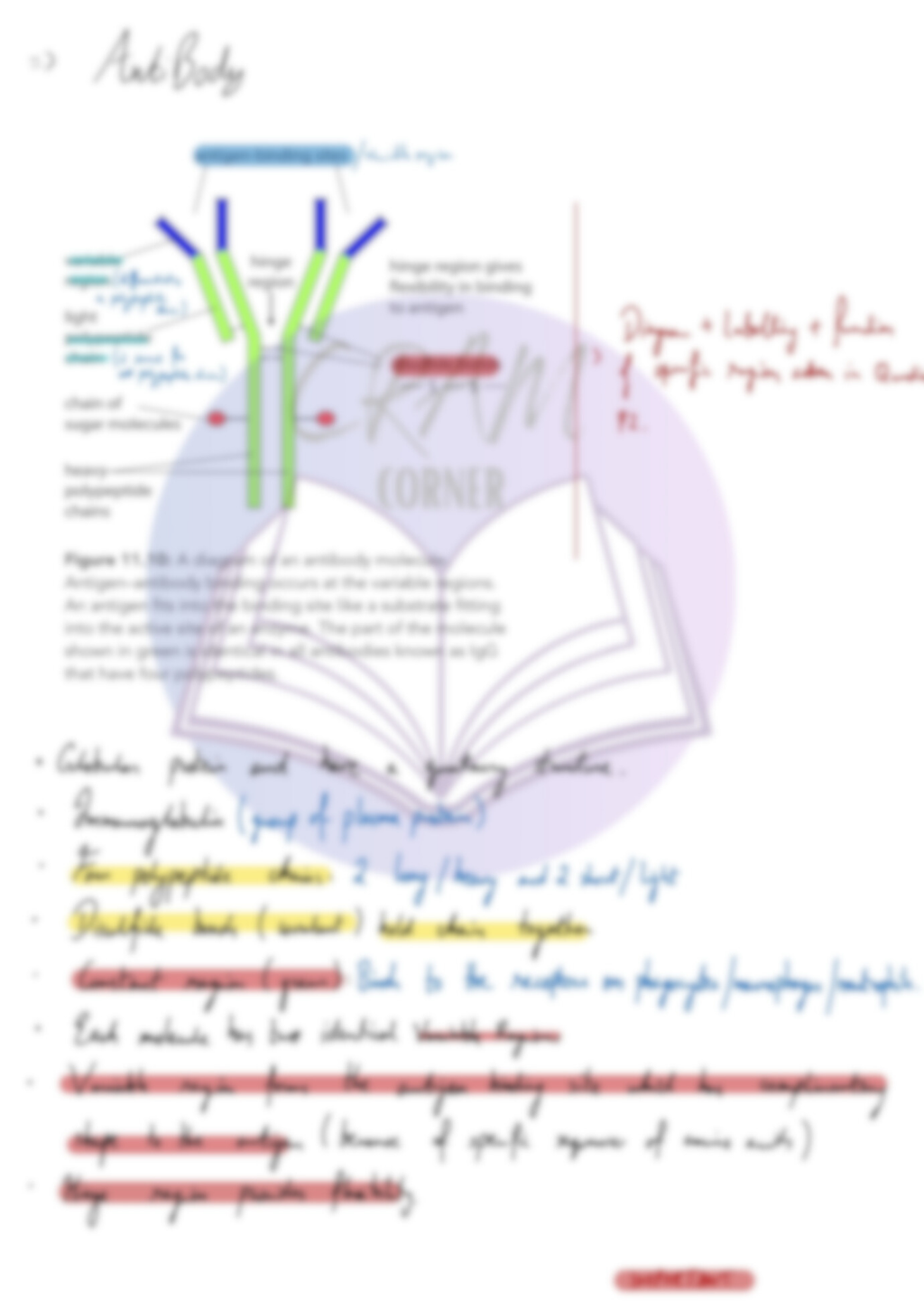 Biology AS- Immunity