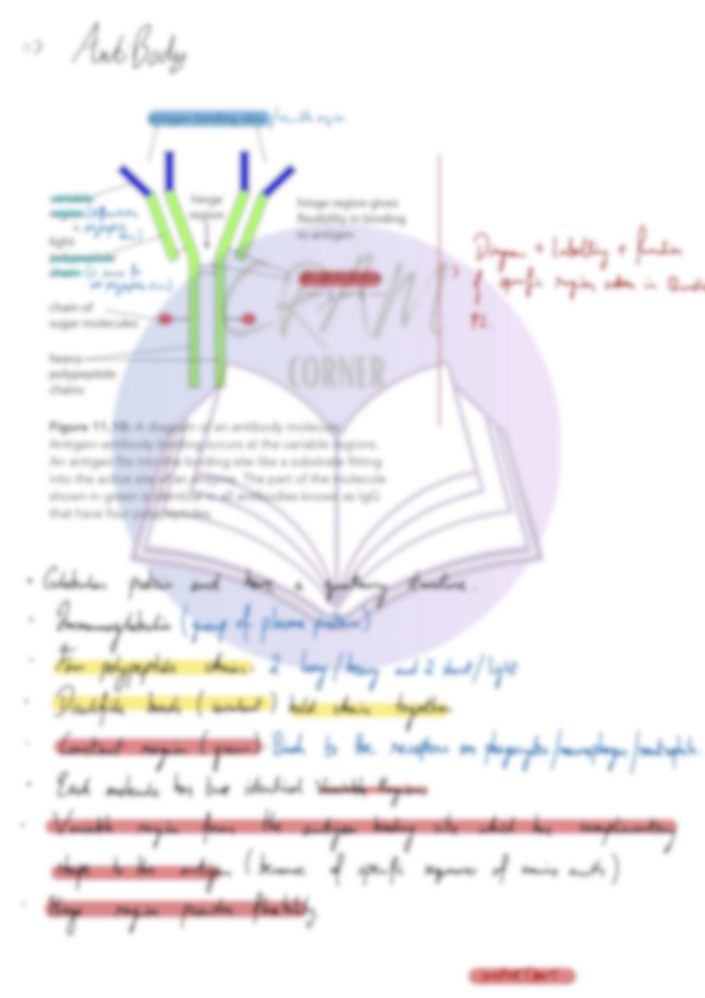 Biology AS- Immunity