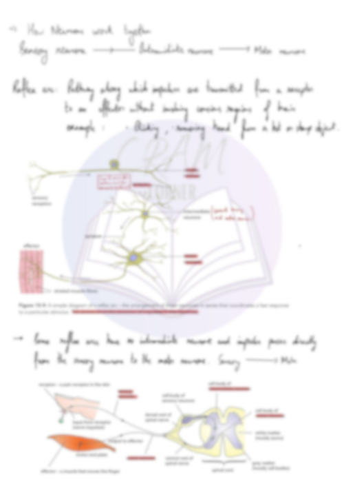 Biology A2- Control and Coordination