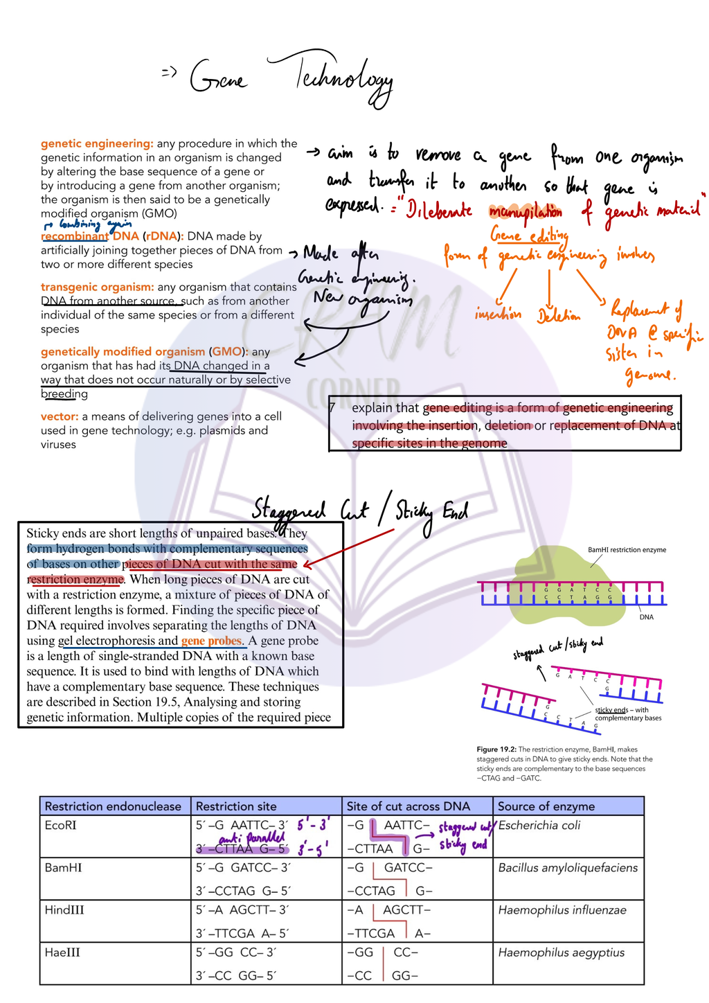 Biology notes preview