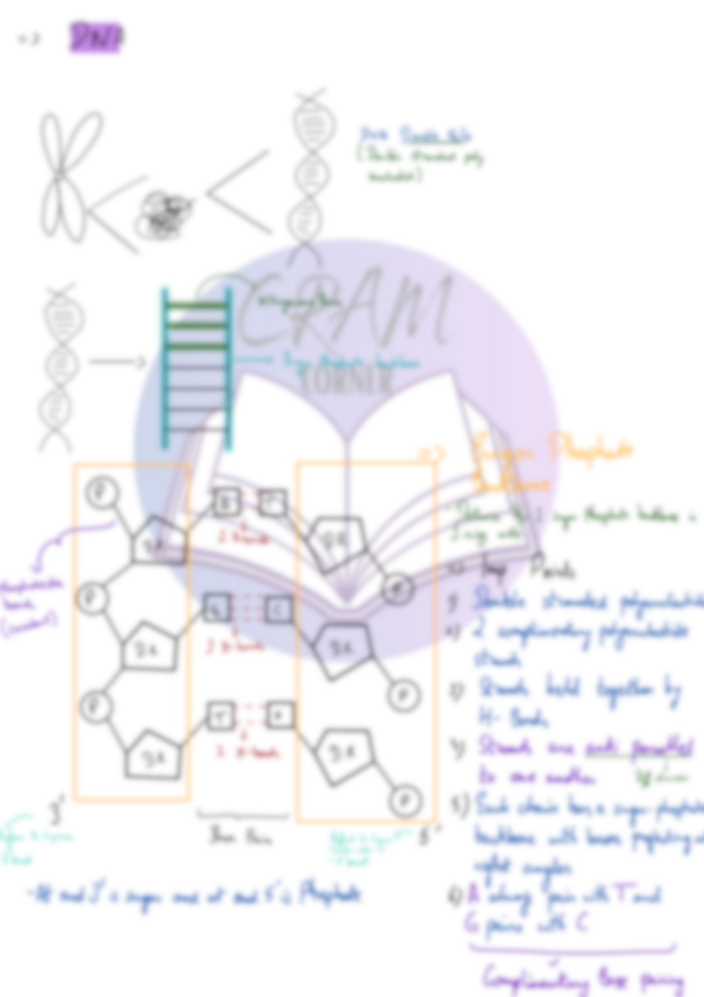 Biology AS- Nucleic Acid and Protein Synthesis