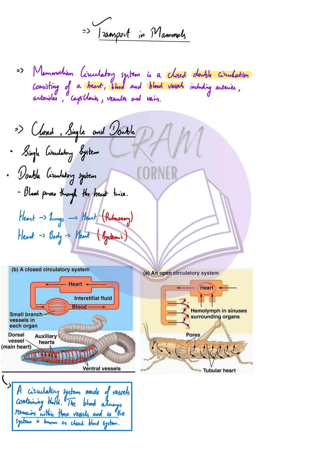 Biology notes preview