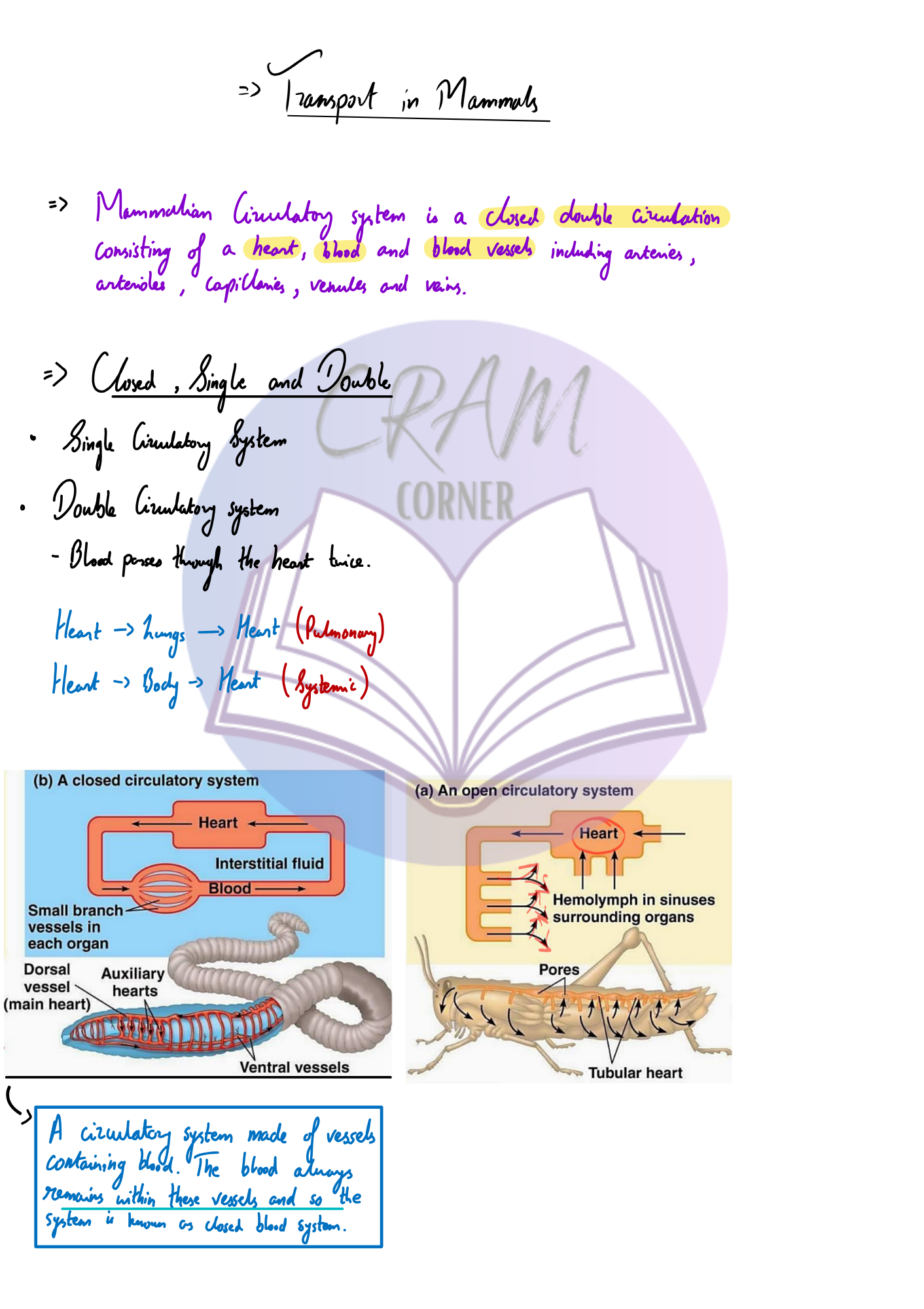 Biology notes preview