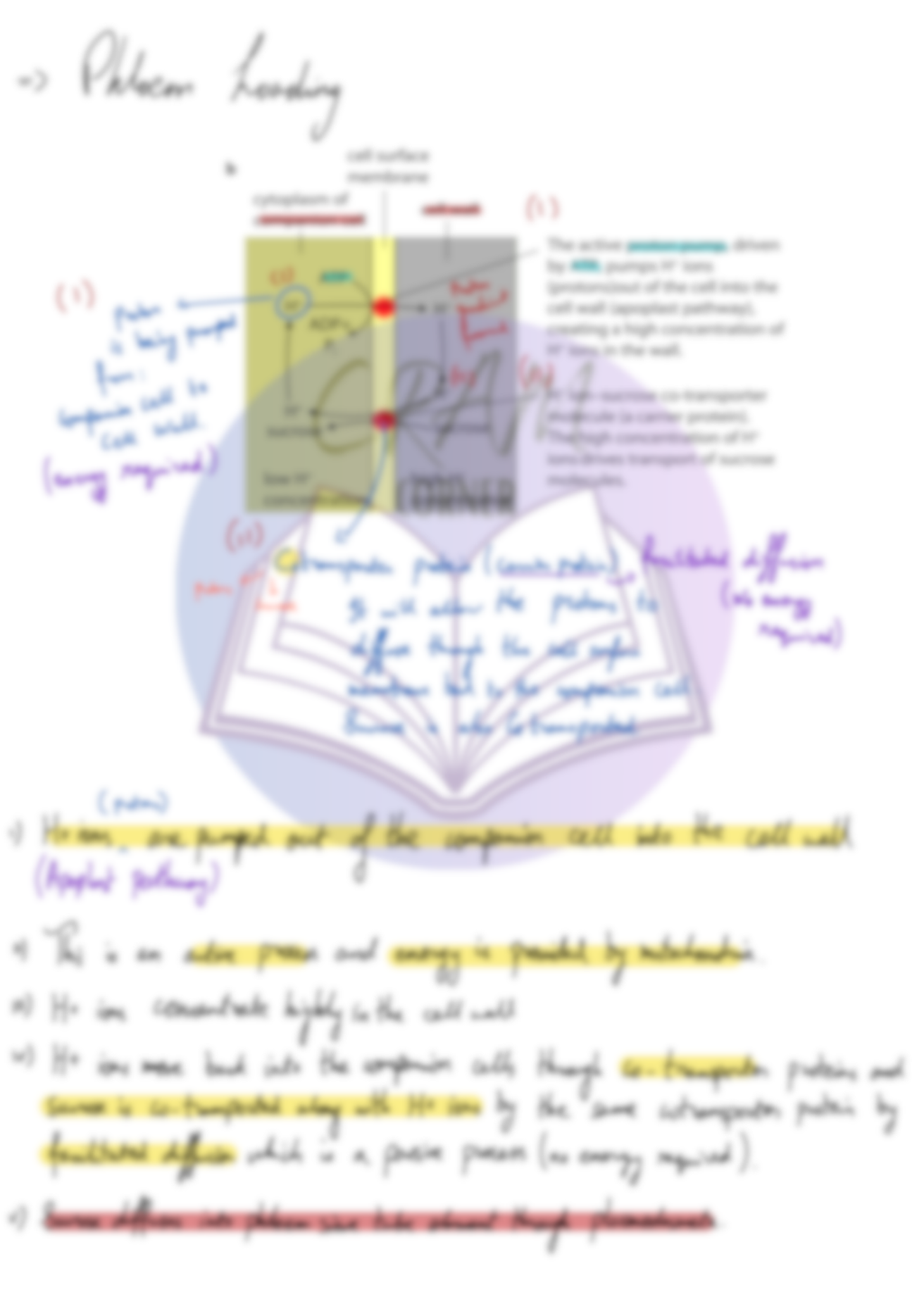 Biology AS- Transport In Plants