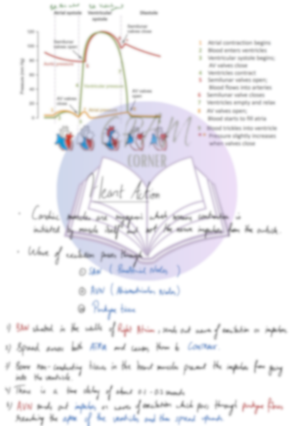 Biology AS- Transport in mammals
