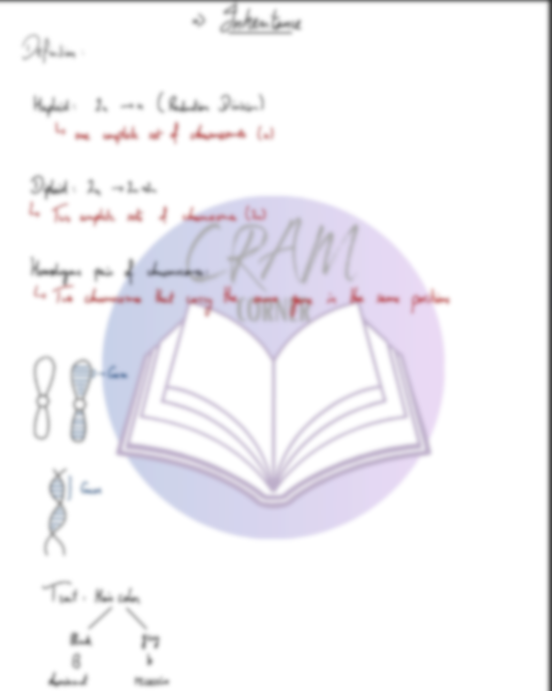 Biology A2- Inheritance