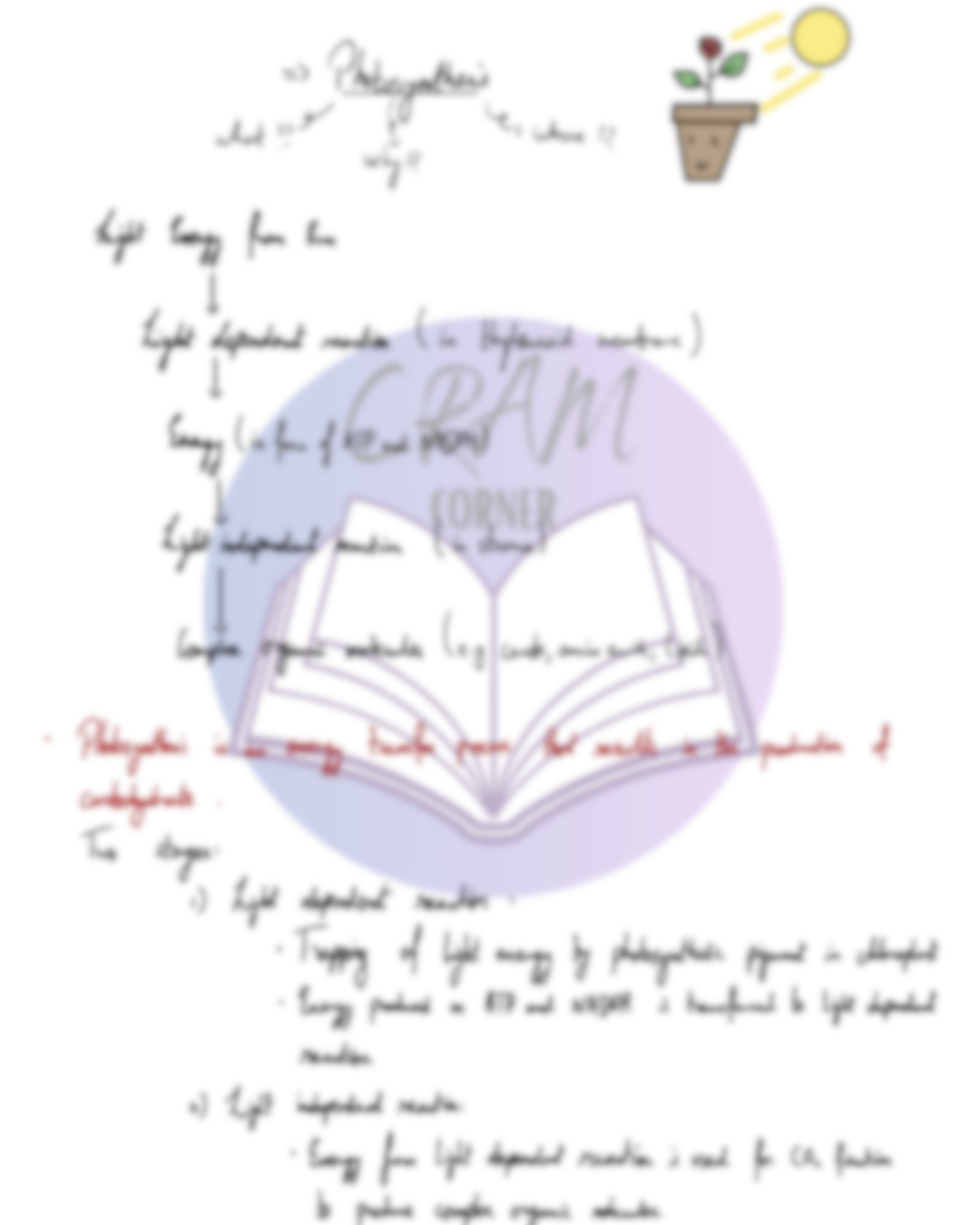 Biology A2- Photosynthesis