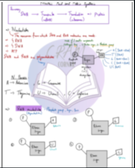 Biology AS- Nucleic Acid and Protein Synthesis