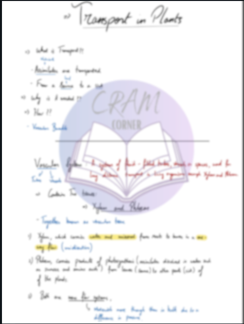 Biology AS- Transport In Plants